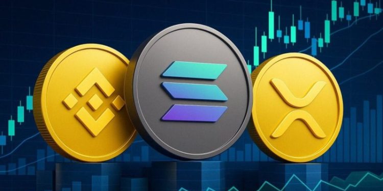 BNB Price Surge Leads Crypto Gains as Bitcoin Climbs